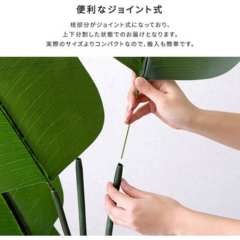 お手入れ簡単フェイクグリーン ストレリチア Lサイズ(180cm) ホームテイスト
