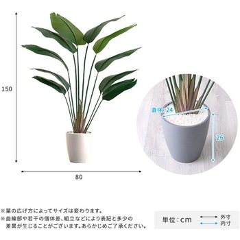 お手入れ簡単フェイクグリーン ストレリチア Mサイズ(150cm) ホームテイスト