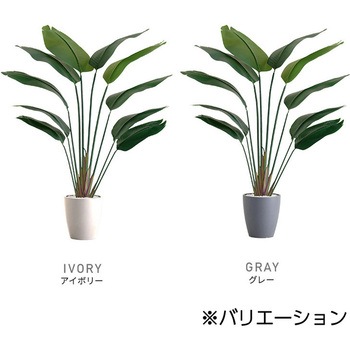 お手入れ簡単フェイクグリーン ストレリチア Mサイズ(150cm) ホームテイスト