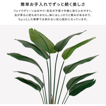 お手入れ簡単フェイクグリーン ストレリチア Mサイズ(150cm) ホームテイスト