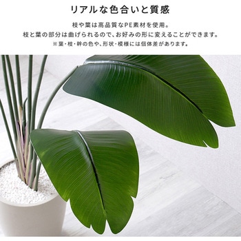 お手入れ簡単フェイクグリーン ストレリチア Mサイズ(150cm) ホームテイスト