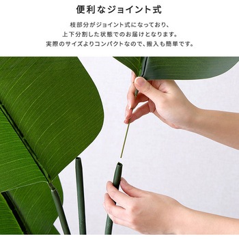 お手入れ簡単フェイクグリーン ストレリチア Mサイズ(150cm) ホームテイスト
