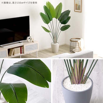 お手入れ簡単フェイクグリーン ストレリチア Sサイズ(120cm) ホームテイスト