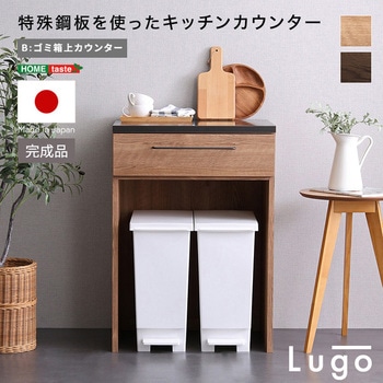 日本製 特殊鋼板を使ったキッチンカウンター【Lugo-ルゴ-】ゴミ箱上カウンター 60cm ホームテイスト