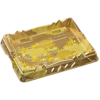 25-20  X͉ { GtsR 13161245