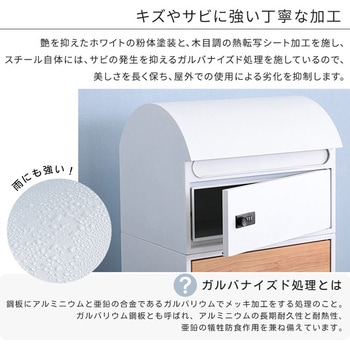 宅配ボックス スリムロータイプ 2ボックス ホームテイスト