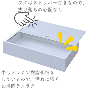 フタ付き ベッド下 収納ボックス YAMAZEN(山善)