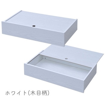 フタ付き ベッド下 収納ボックス YAMAZEN(山善)