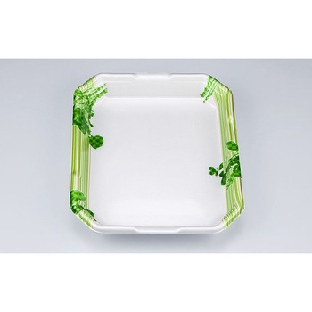 2.5 N\ L-JN g[ V[s[ 13172226