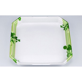 5 N\ L-JN g[ V[s[ 13172488