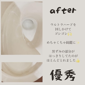 ウルトラハードクリーナー トイレ用/本/500g リンレイ