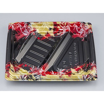 BFNアルバ 本体 シーピー化成