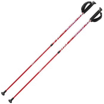 ウォーキング14/レッド/- グループN