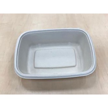 SBT シンギ