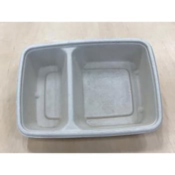 SBT シンギ
