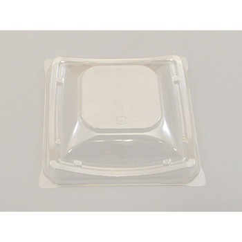 13-13S D's�J�t�F �WU �f���J�|���}�[ 13187355