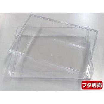 宝蔵 ニシキ
