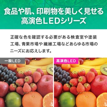 直管形LED40形/昼白色(5000K)/2100lm/Ra97/消費電力:18W Φ28細管タイプ/高演色形クラス4対応【工事必須タイプ】 エコリカ