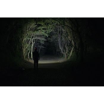 デルタピーク モーションセンサーヘッドライト ハイブリッド GENTOS