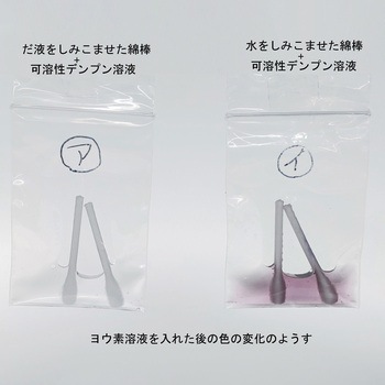 だ液によるデンプン反応実験セット TS ナリカ