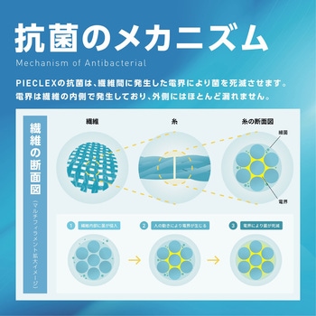 ピエクレックス マスク PIECLEX