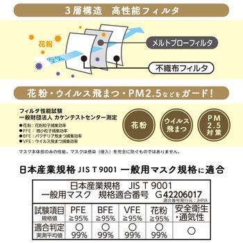 ふわるんNマスクふつう30枚入 LEC(レック)