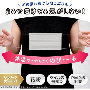ふわるんNマスクふつう30枚入 LEC(レック)