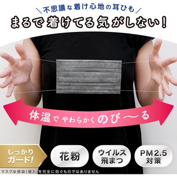 ふわるんNマスクふつう30枚入 LEC(レック)