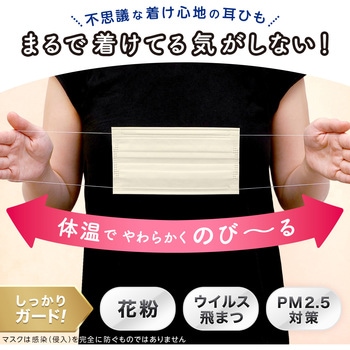 ふわるんNマスクふつう30枚入 LEC(レック)