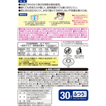 ふわるんNマスクふつう30枚入 LEC(レック)