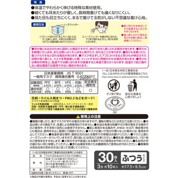 ふわるんNマスクふつう30枚入 LEC(レック)