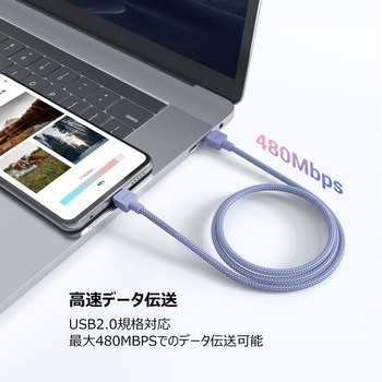 Type-C to C ケーブル デジフォース