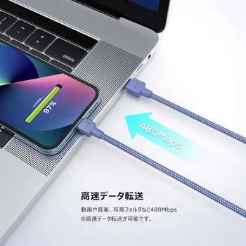 Type-C to Lightning ケーブル デジフォース