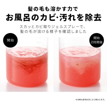 業務用スカッとカビ取りジェルスプレー アイメディア