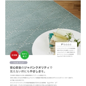 ラグマット M Ponto(Mポント) スミノエ