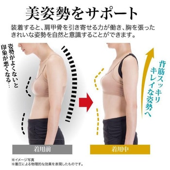 体幹加圧エクサベルト ニーズ