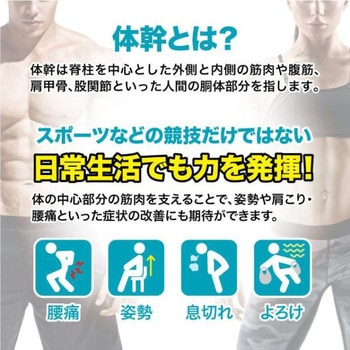 体幹加圧エクサインナー ニーズ