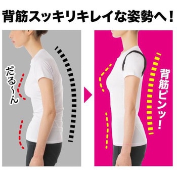 ストレッチバックベルト ニーズ