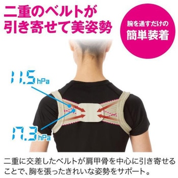 ストレッチバックベルト ニーズ