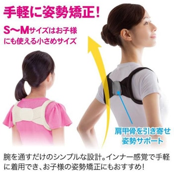 ストレッチバックベルト ニーズ