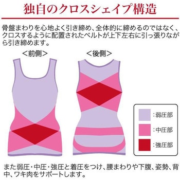 ドレスアップ姿勢フィットインナー ニーズ