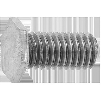 ドブチョウテイトウ6カクBTウィット 大阪魂