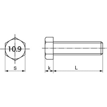 10.9 BT(コガタゼンホソ 大阪魂