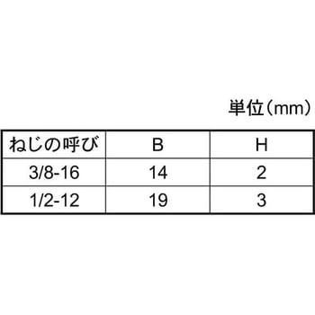 ドブチョウテイトウ6カクBTウィット 大阪魂