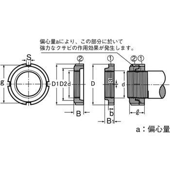 3カ-W HLB 大阪魂