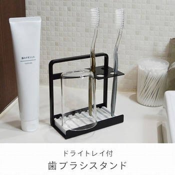 歯ブラシスタンド ドライトレイ付き 日東