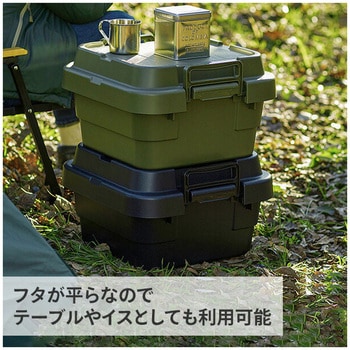GHON153×2 トランクカーゴ TC-30S LOW 岐阜プラスチック工業 GHON153×2 トランクカーゴ TC-30S LOW 岐阜プラスチック工業