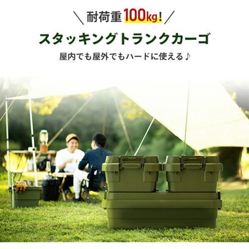 トランクカーゴ LOW 座れる 収納ボックス 日本製 岐阜プラスチック工業(RISU/リス)