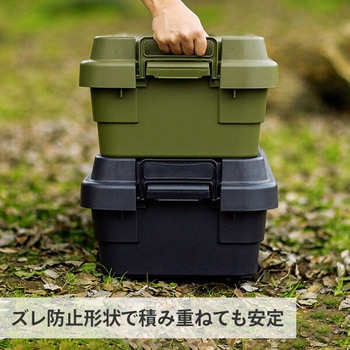 トランクカーゴ LOW 座れる 収納ボックス 日本製 岐阜プラスチック工業(RISU/リス)