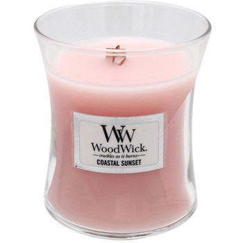 WW900-05-63 WW�W���[S �J�����} �R�Ď���30���� 13454378